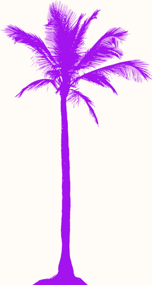 arvore